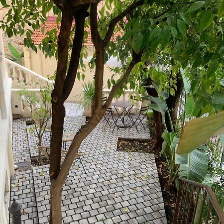 Villa Les Fougeres 2P Jardin Parking カンヌ エクステリア 写真