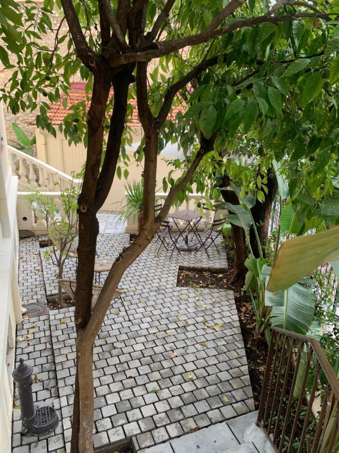 Villa Les Fougeres 2P Jardin Parking カンヌ エクステリア 写真